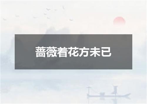 蔷薇着花方未已
