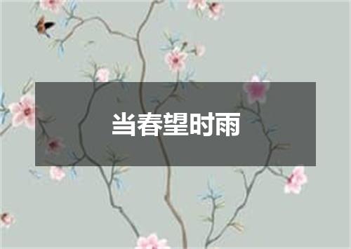 当春望时雨