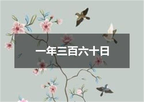 一年三百六十日