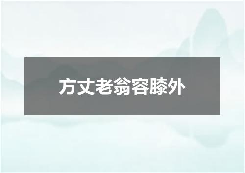 方丈老翁容膝外