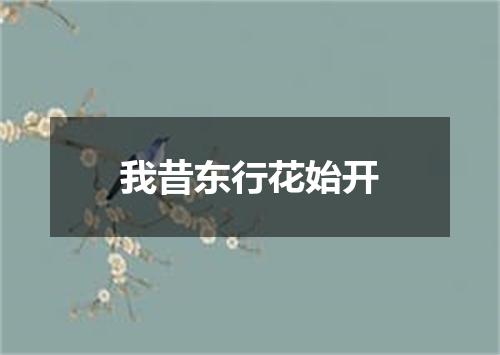 我昔东行花始开