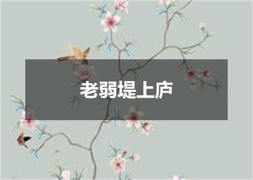 老弱堤上庐