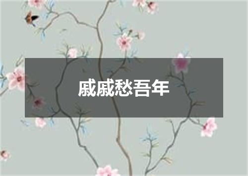 戚戚愁吾年