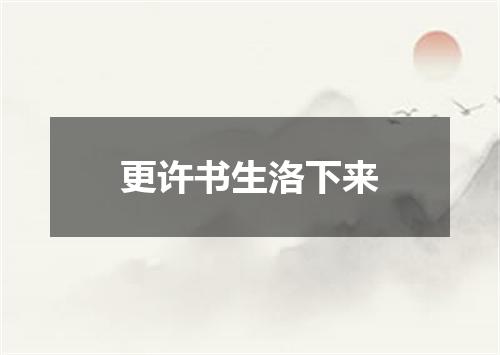 更许书生洛下来