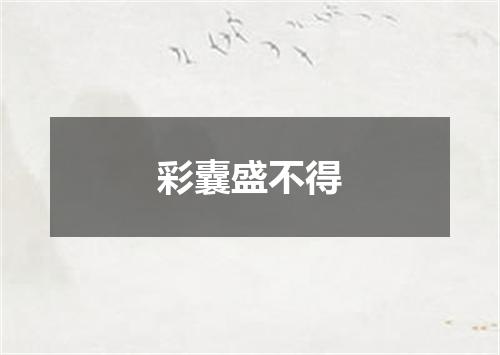 彩囊盛不得