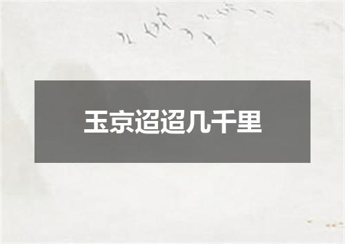 玉京迢迢几千里