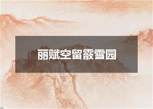 丽赋空留霰雪园