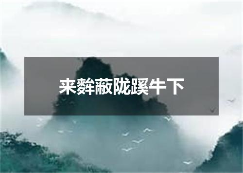 来麰蔽陇蹊牛下