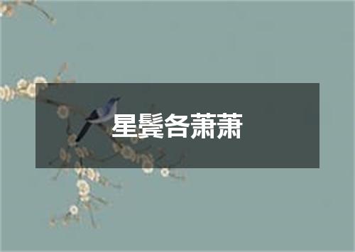 星鬓各萧萧