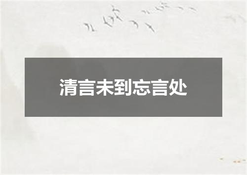 清言未到忘言处