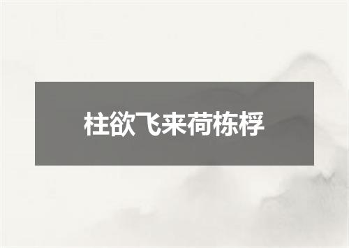 柱欲飞来荷栋桴