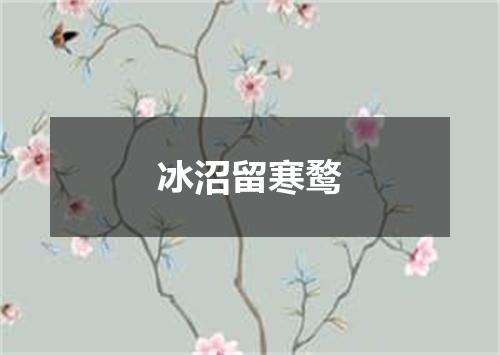 冰沼留寒鹜