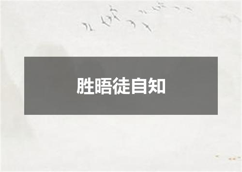 胜晤徒自知