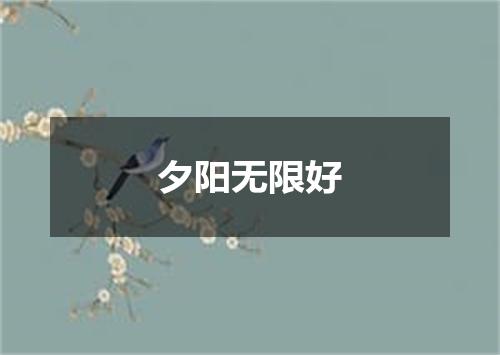 夕阳无限好