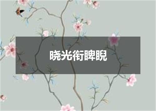 晓光衔睥睨
