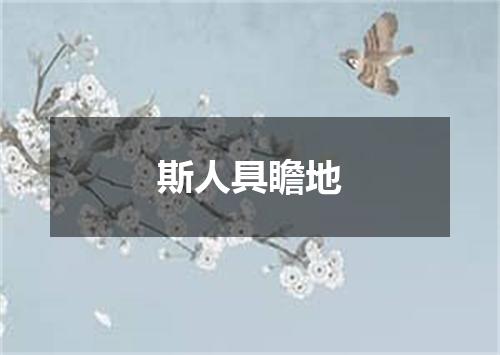 斯人具瞻地