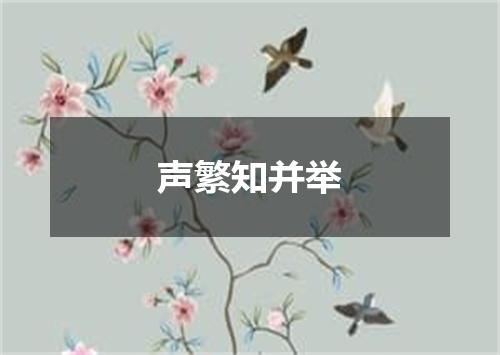 声繁知并举