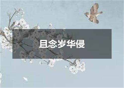 且念岁华侵