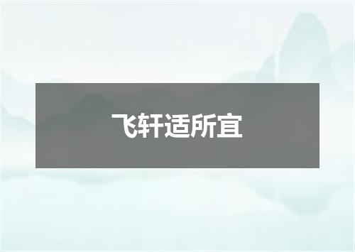 飞轩适所宜