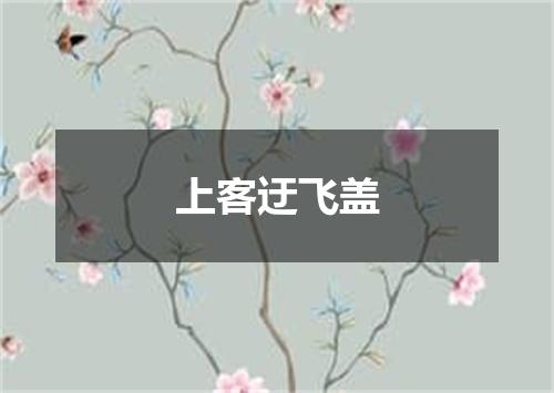 上客迂飞盖