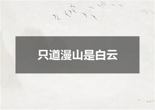 只道漫山是白云