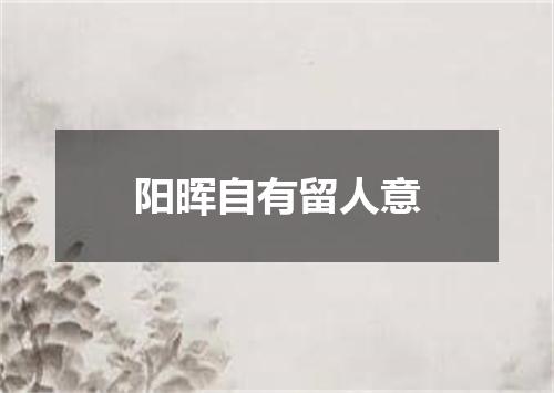 阳晖自有留人意