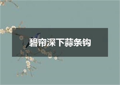 碧帘深下蒜条钩