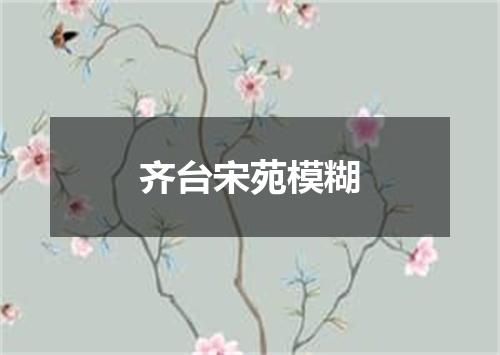 齐台宋苑模糊
