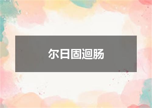 尔日固迴肠