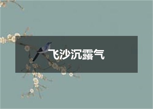 飞沙沉露气