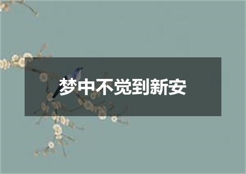 梦中不觉到新安