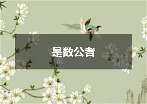 是数公者
