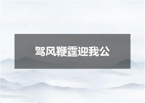驾风鞭霆迎我公