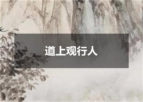 道上观行人