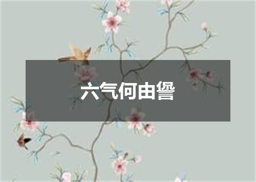 六气何由諐