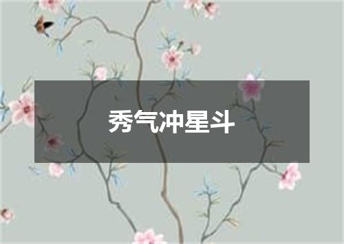 秀气冲星斗