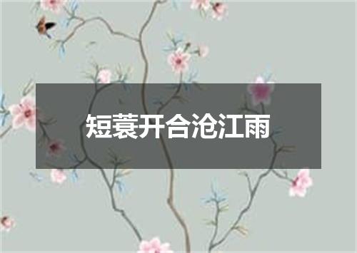 短蓑开合沧江雨