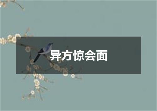 异方惊会面