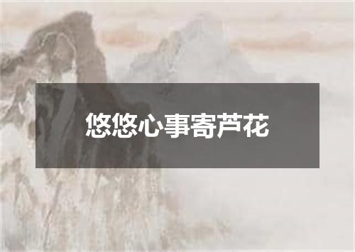 悠悠心事寄芦花