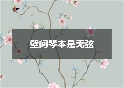 壁间琴本是无弦