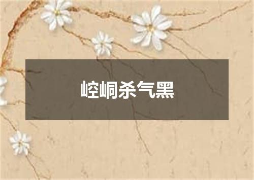 崆峒杀气黑