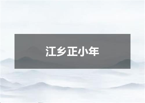 江乡正小年