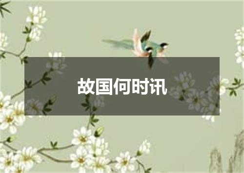 故国何时讯