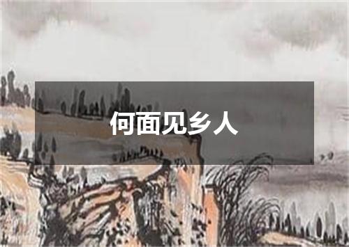 何面见乡人