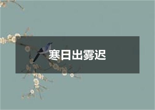 寒日出雾迟