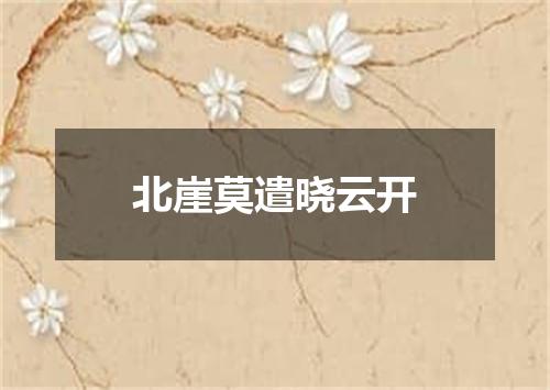 北崖莫遣晓云开