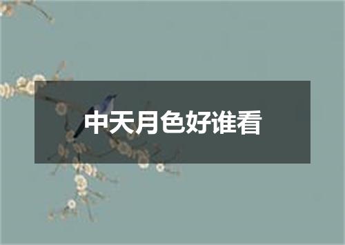 中天月色好谁看
