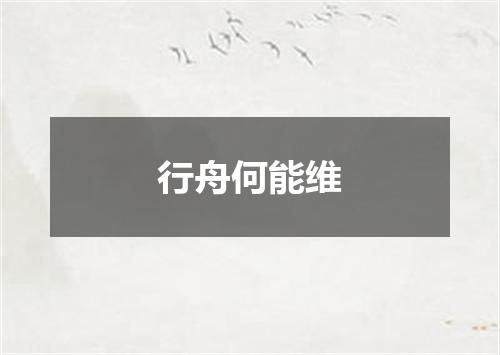 行舟何能维