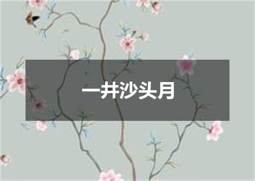 一井沙头月