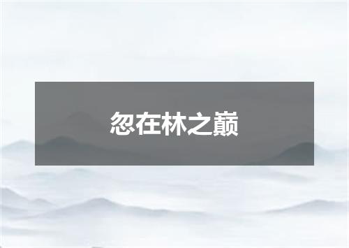 忽在林之巅